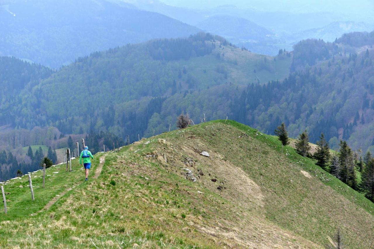 Holiday Home Davca Cerkno Eksteriør billede