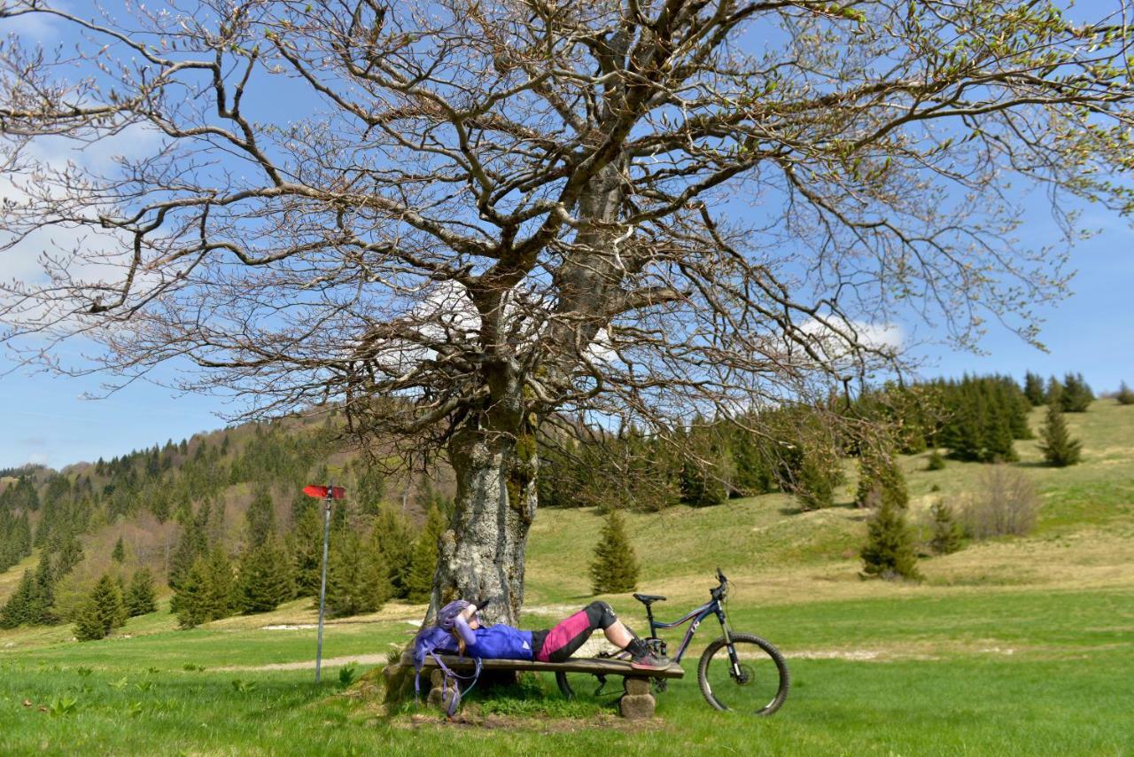 Holiday Home Davca Cerkno Eksteriør billede
